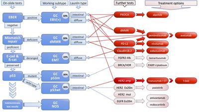 Current therapies and progress in the treatment of advanced gastric cancer